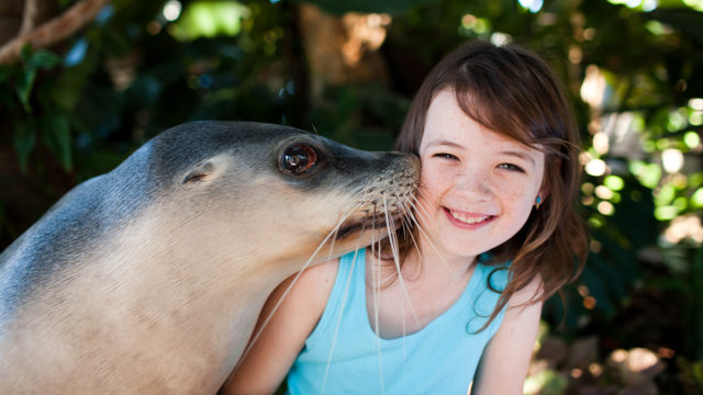 professional photography near me Melbourne