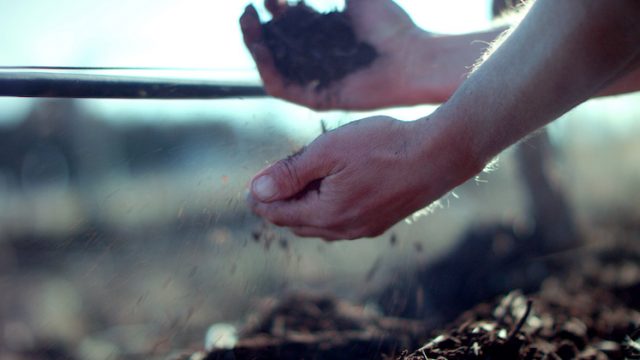 Film production and campaign management BioCarbon Soil